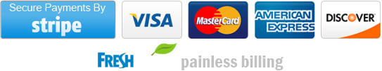 Stripe Secure Payments by Web Services CT