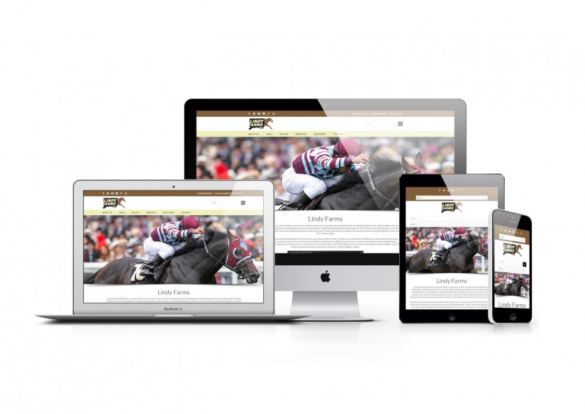 Connecticut Web Design - WordPress Horse Website