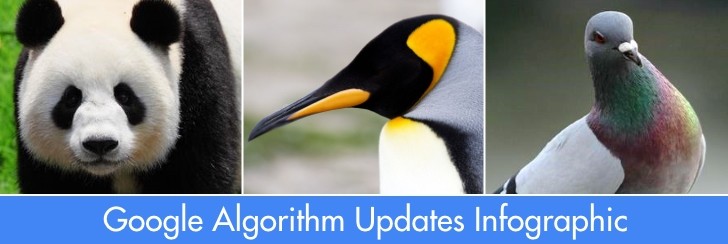 Google Algorithm Updates Infographic 2015